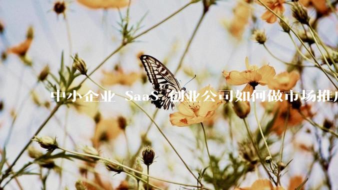 中小企业 SaaS 创业公司如何做市场推广？