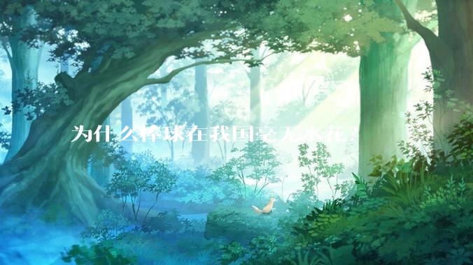 为什么棒球在我国毫无水花？