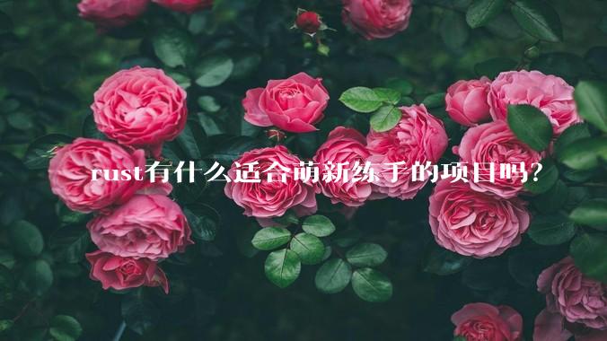 rust有什么适合萌新练手的项目吗？