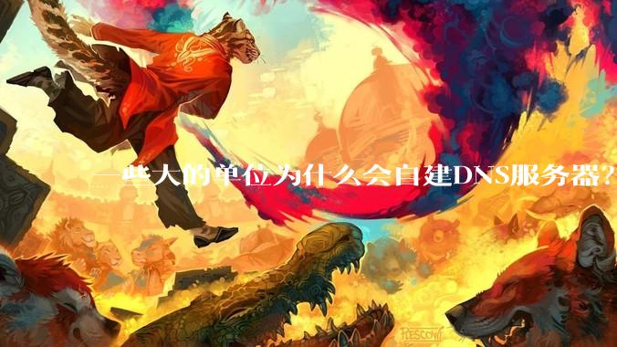 一些大的单位为什么会自建DNS服务器？