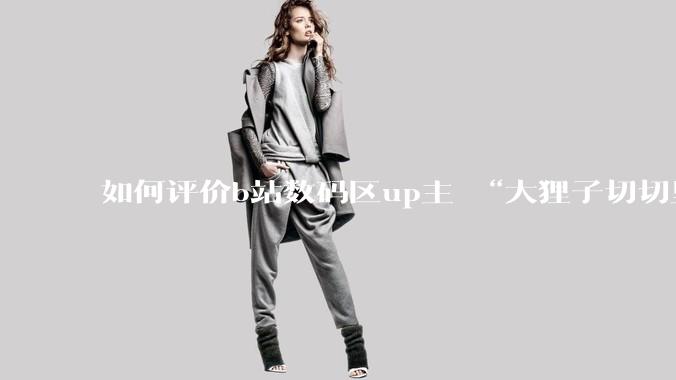 如何评价b站数码区up主 “大狸子切切里”?