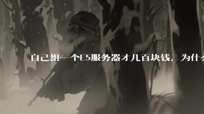 自己组一个E5服务器才几百块钱，为什么去阿里云租这么贵?
