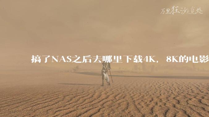 搞了NAS之后去哪里下载4K，8K的电影？