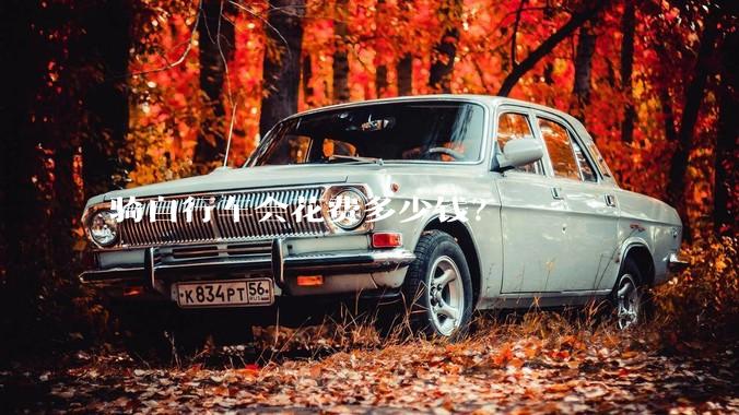 骑自行车会花费多少钱？