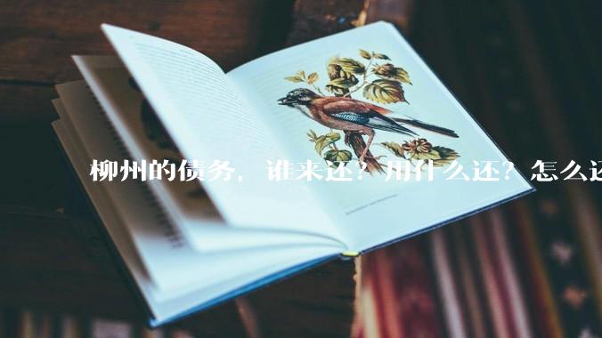 柳州的债务，谁来还？用什么还？怎么还？