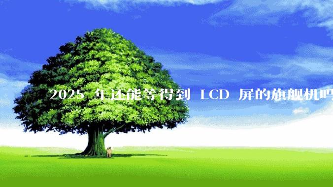2025 年还能等得到 LCD 屏的旗舰机吗？