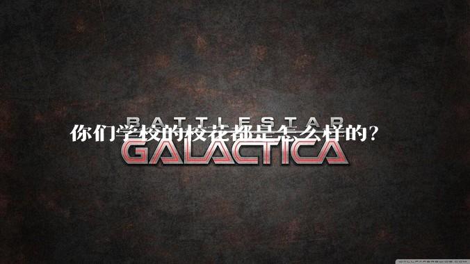 你们学校的校花都是怎么样的？