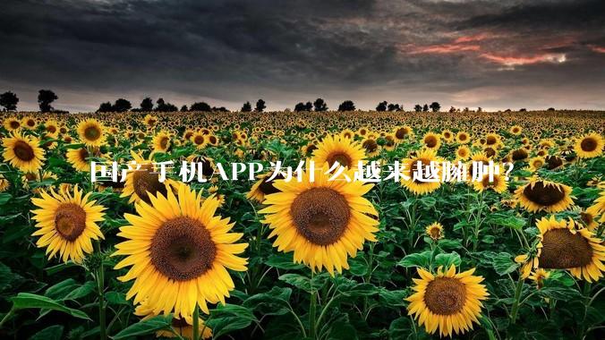 国产手机APP为什么越来越臃肿？