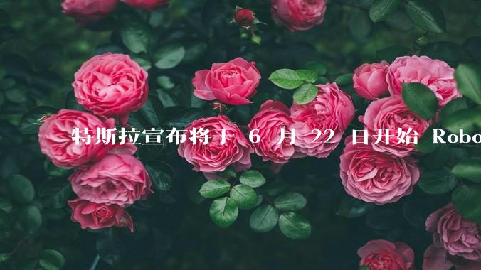 特斯拉宣布将于 6 月 22 日开始 Robotaxi 公开试运营，这将对自动驾驶行业带来哪些影响？
