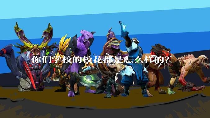 你们学校的校花都是怎么样的？