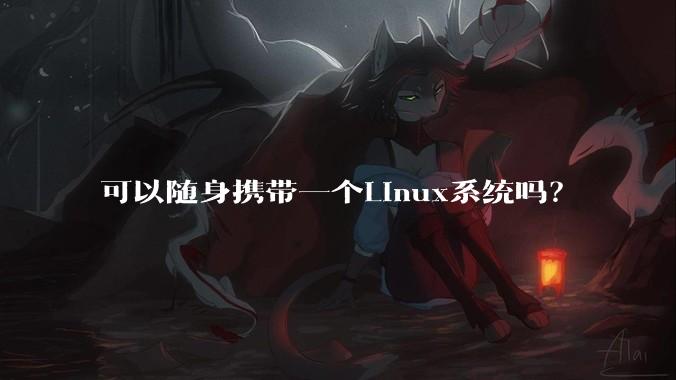 可以随身携带一个Linux系统吗？