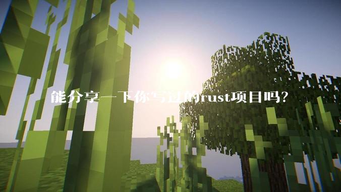 能分享一下你写过的rust项目吗？