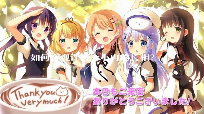 如何客观评价李小冉的长相？