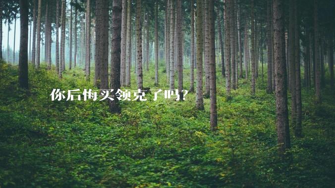 你后悔买领克了吗？