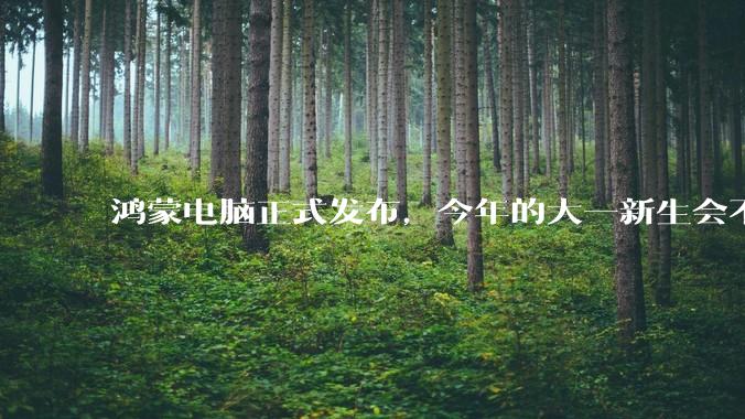 鸿蒙电脑正式发布，今年的大一新生会不会扎堆购买鸿蒙电脑？
