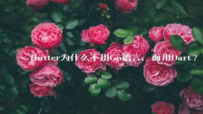 flutter为什么不用Go语言，而用Dart?