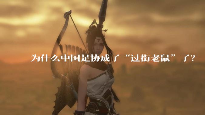 为什么中国足协成了“过街老鼠”了？