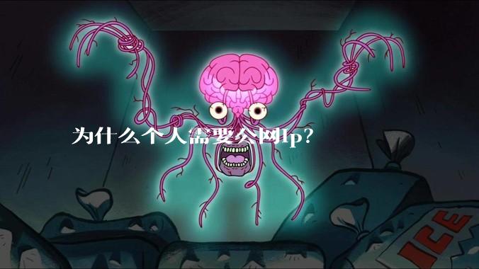 为什么个人需要公网ip？