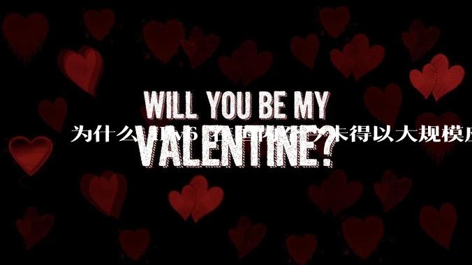 为什么 IPv6 在国内至今未得以大规模应用?