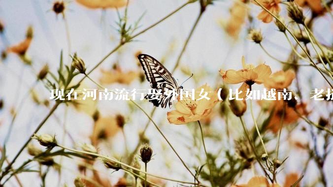 现在河南流行娶外国女（比如越南、老挝）结婚了吗？
