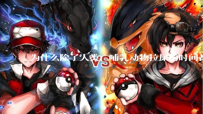 为什么除了人类，哺乳动物拉屎的时间都是12秒？