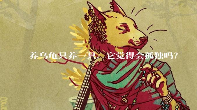 养乌龟只养一只，它觉得会孤独吗？