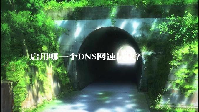 启用哪一个DNS网速最快？